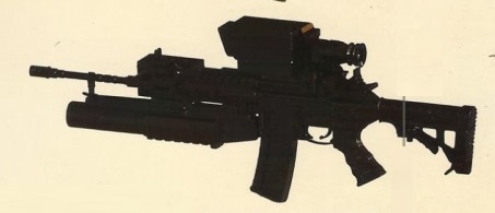 f insas 2.jpg