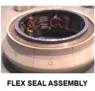 flex seal02.png