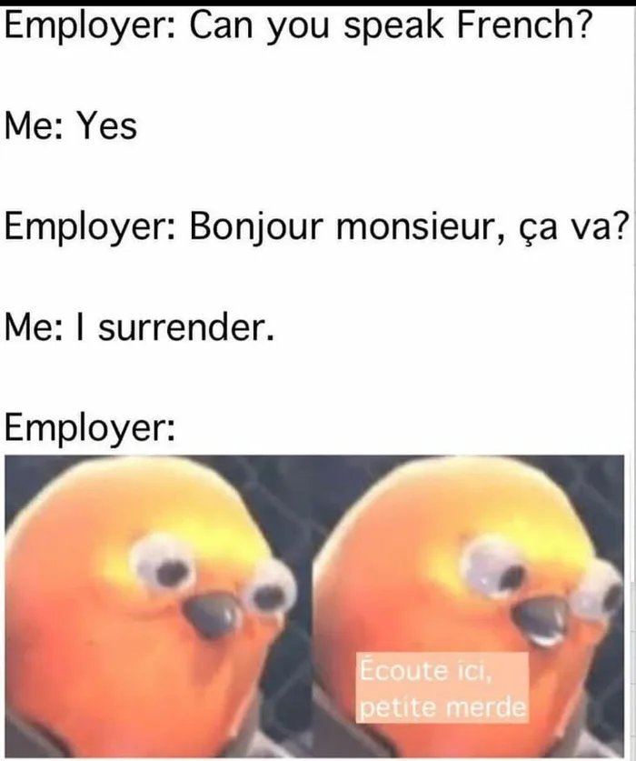 Je-suis-dsol-.jpg