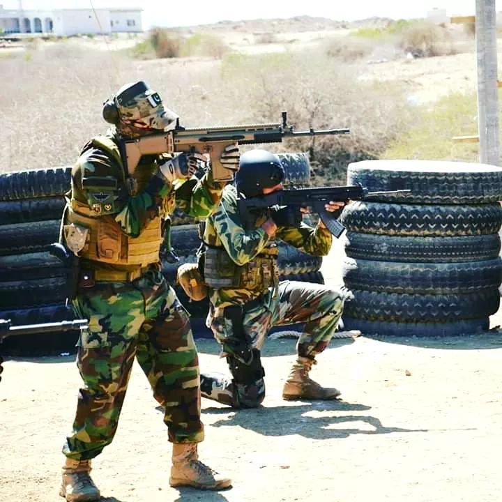 pakistan rifle.jpg
