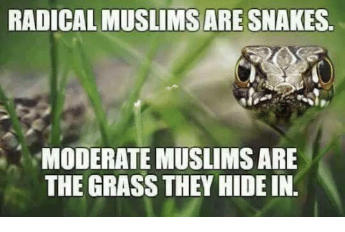 radical muslims are the snake.png