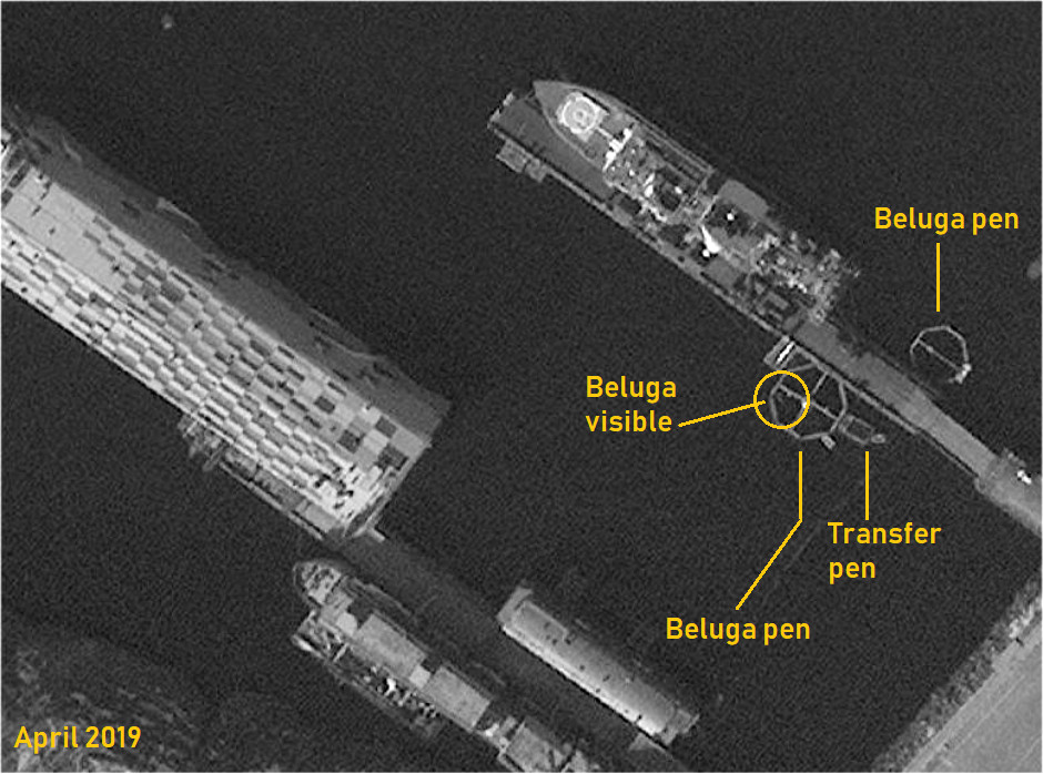 Ru_Beluga_sat2.jpg