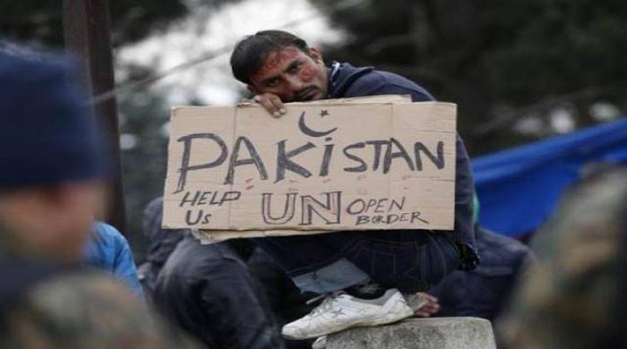 www.thenews.com.pk