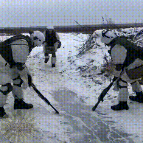 151852258114798553.gif