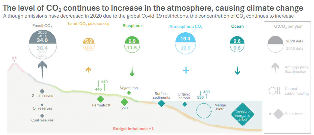 Carbon emissions in India show third-highest drop after US and Europe in 2020 — thanks to COVID-19 lockdowns