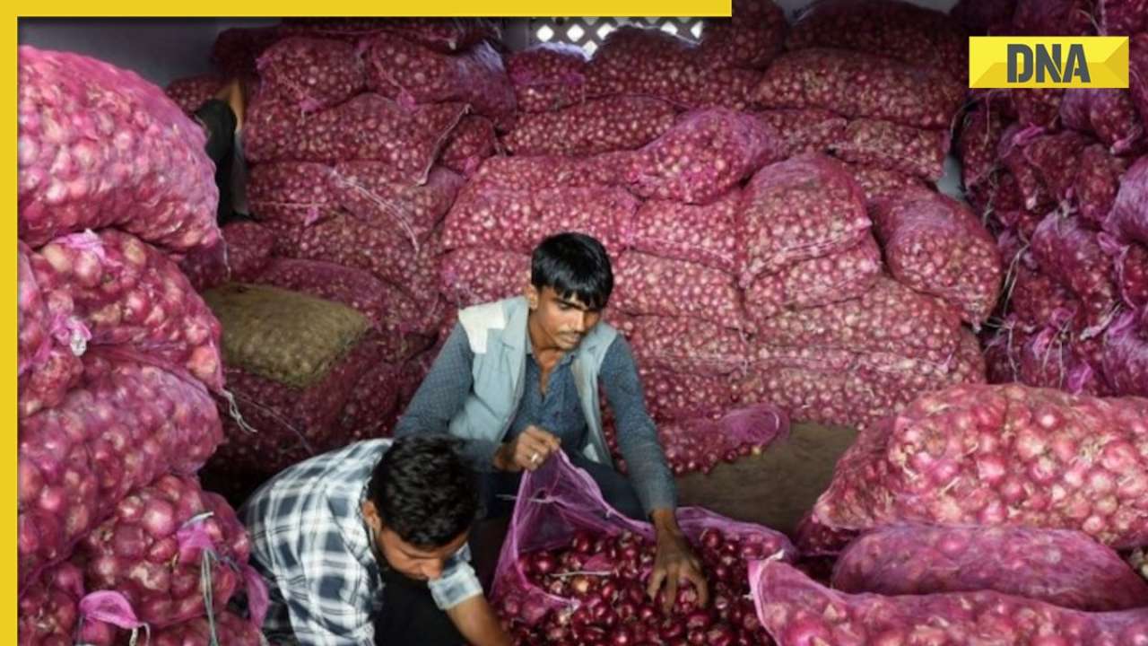 www.dnaindia.com