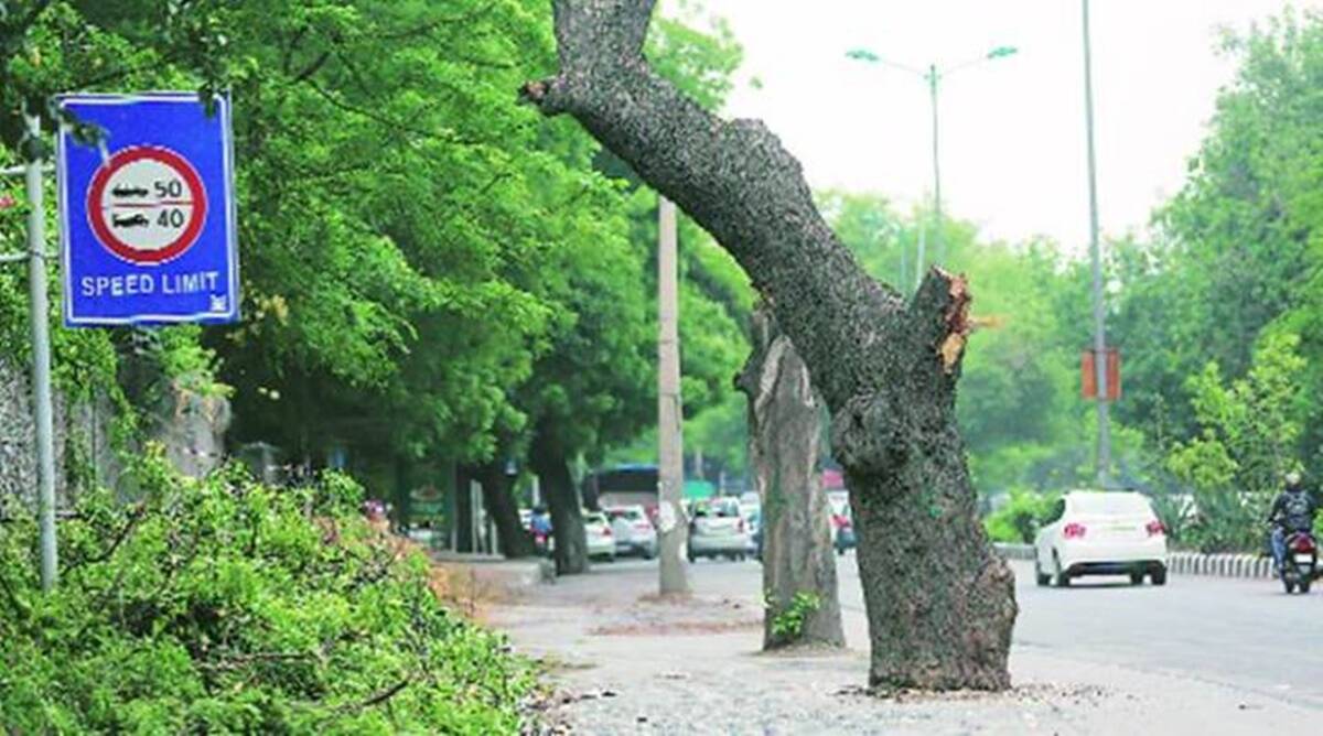 indianexpress.com