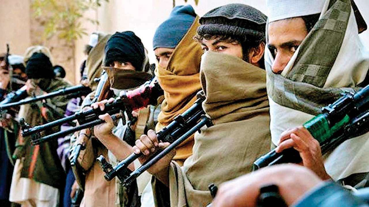 www.dnaindia.com