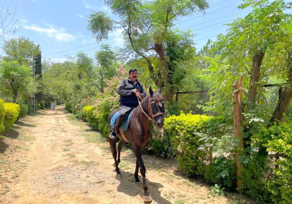 riding-1024x715.jpg
