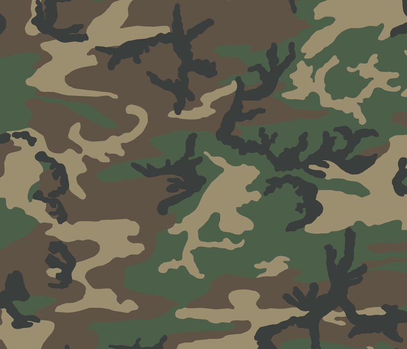 %22M81%22_U.S._woodland_camouflage_pattern_swatch.png