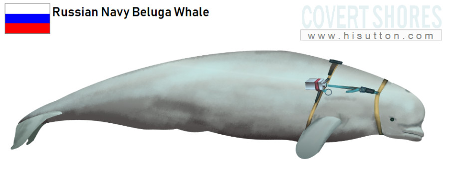 Ru_Beluga900.jpg