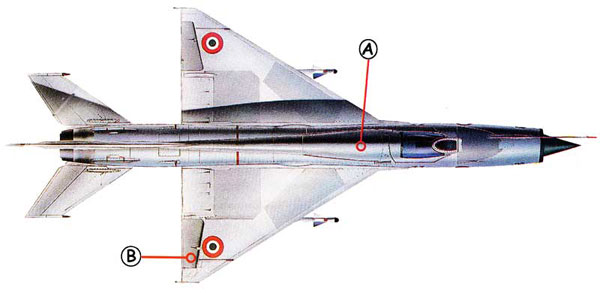 MiG-21-Callout-Top.jpg