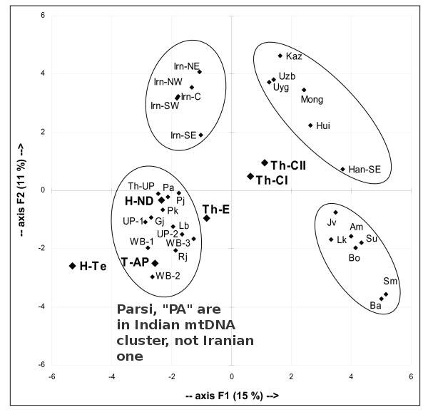 parsiMTDNA.jpg