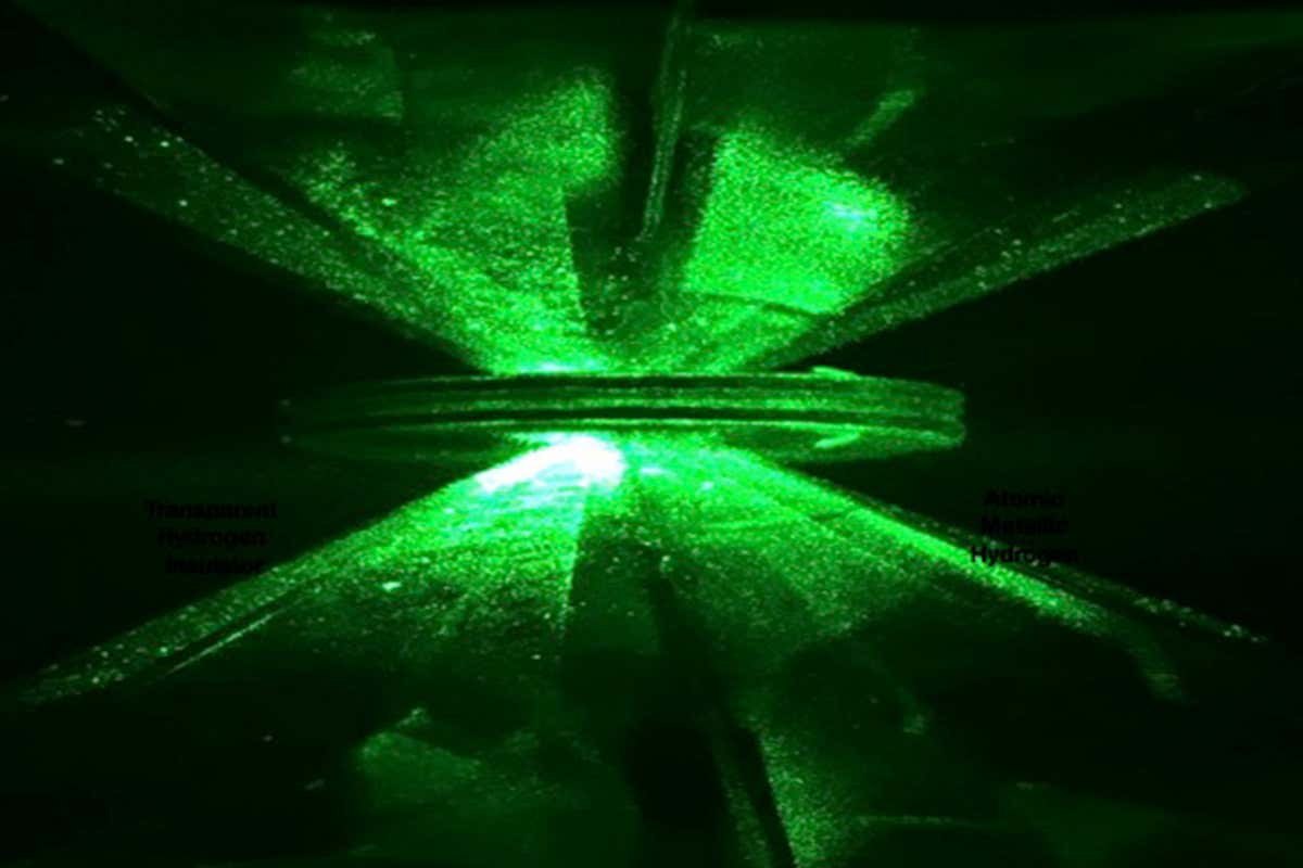 www.newscientist.com