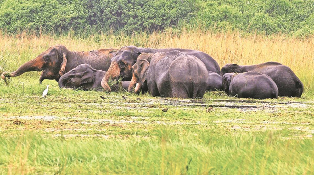indianexpress.com