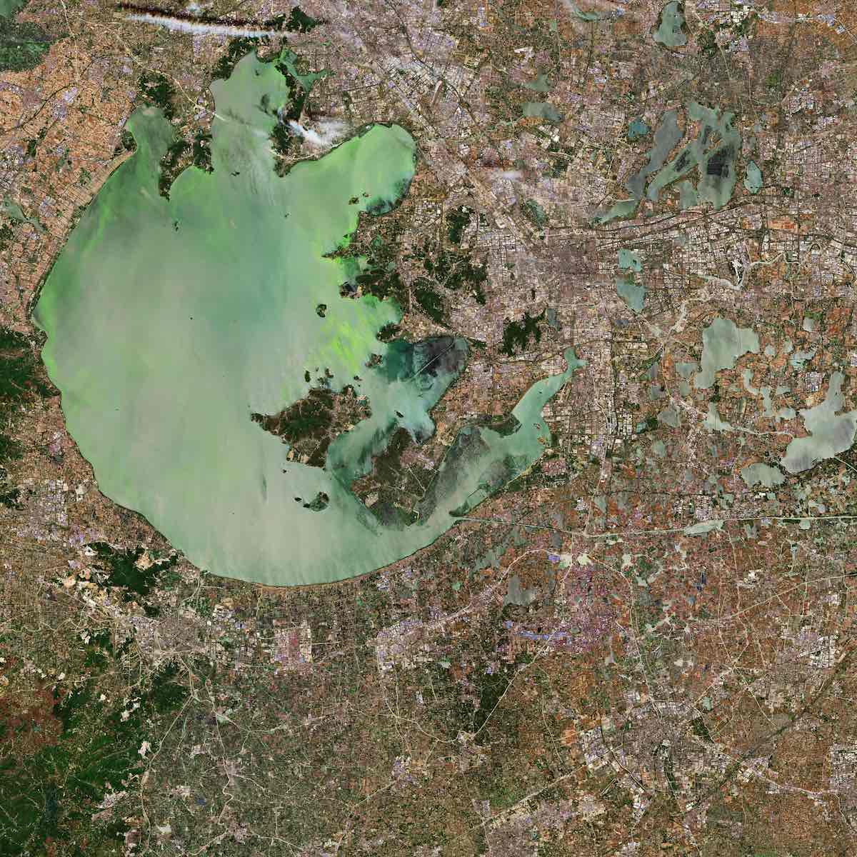 49067933648_609561084e_k.jpg